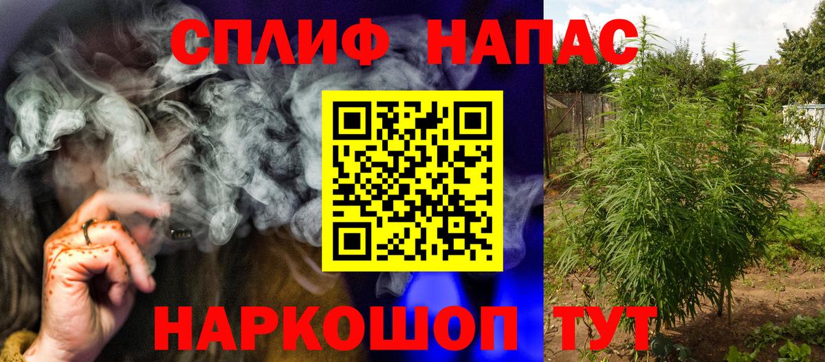 Шишки марихуана конопля Сочи